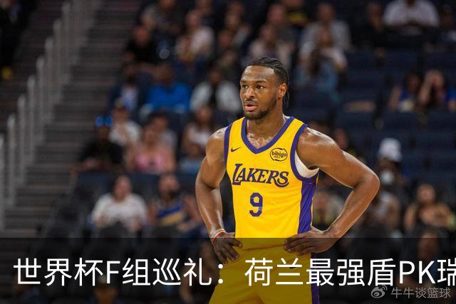 世界杯F组巡礼：荷兰最强盾PK瑞典犀利刀 日本短板明显